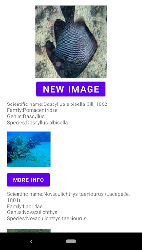 Unduh Fish Identifier APK – Identifikasi Spesies Ikan Instan - Screenshot 13