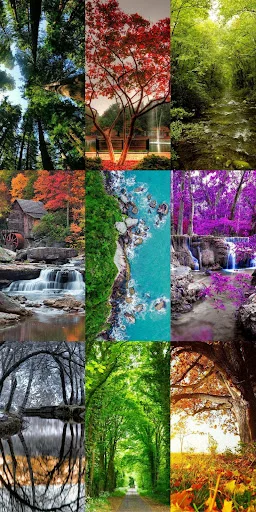 Download Nature Escape HD Wallpapers – Background Alam Gratis - Screenshot 5