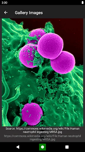 Download Bacteria: Types, Infections Terbaru – Belajar Mikrobiologi - Screenshot 4
