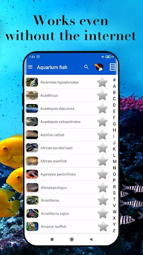 Download Aquarium Fish Terbaru – Panduan Perawatan Ikan Gratis - Screenshot 3