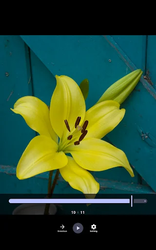 Download PAYGE Terbaru – Media Viewer & Editor All-in-One - Screenshot 7