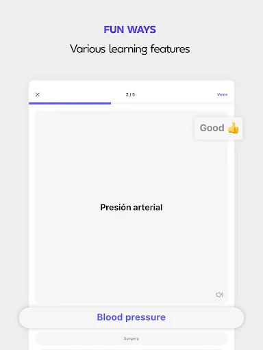 Download Onevoca – Flashcards Terbaru, Cara Mudah Belajar Kosakata - Screenshot 14