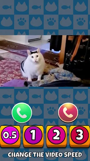 Download Meme Cat Sim: Cozy Home Terbaru – Game Kucing Lucu - Screenshot 3