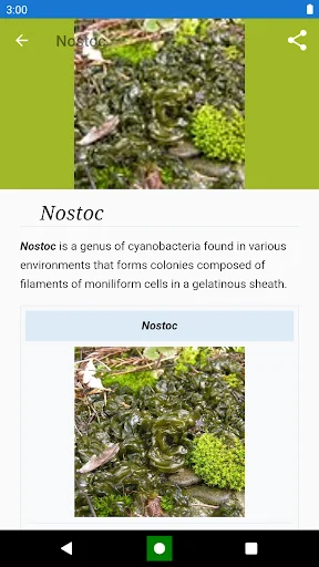 Download Bacteria: Types, Infections Terbaru – Belajar Mikrobiologi - Screenshot 7