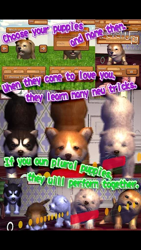 Download Animal Dance Puppies Terbaru – Game Irama Anjing Lucu - Screenshot 28