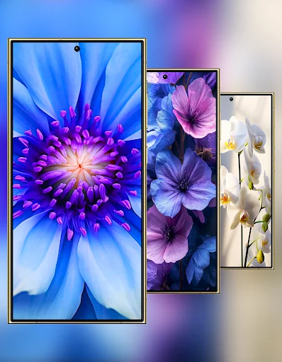 Download Wallpaper Galaxy S24 Ultra Terbaru – Kualitas HD Gratis - Screenshot 20