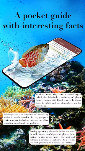 Download Aquarium Fish Terbaru – Panduan Perawatan Ikan Gratis - Screenshot 6
