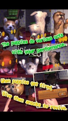Download Animal Dance Puppies Terbaru – Game Irama Anjing Lucu - Screenshot 27