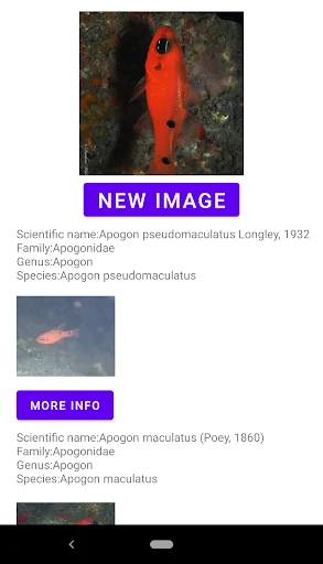 Unduh Fish Identifier APK – Identifikasi Spesies Ikan Instan - Screenshot 15