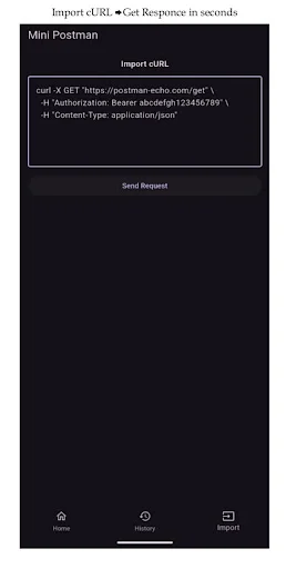 Download Postman Mini API Testing Tool Terbaru – Debug API Gratis - Screenshot 2