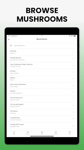 Download Mushroom Identifier Mushby Terbaru – Deteksi Jamur AI - Screenshot 20