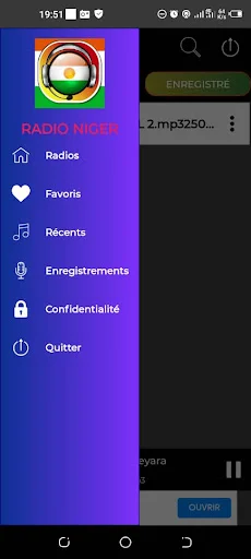 Download Niger Radios + Enregistreur Terbaru – Rekam Radio Gratis - Screenshot 7
