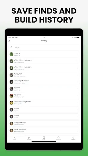Download Mushroom Identifier Mushby Terbaru – Deteksi Jamur AI - Screenshot 18
