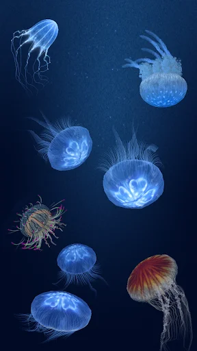 Download Jellyfish Heaven – Relax Time APK Terbaru Gratis - Screenshot 1
