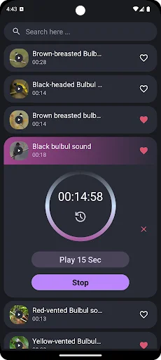 Download Suara Burung Kutilang Terbaru – Koleksi Kicau Gratis - Screenshot 3