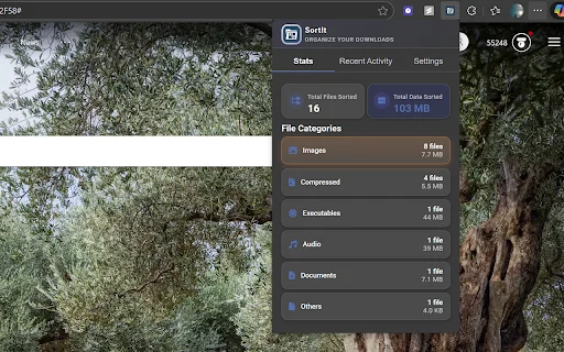 SortIt: Atur File Download Otomatis – Rapikan Folder Anda - Screenshot 2