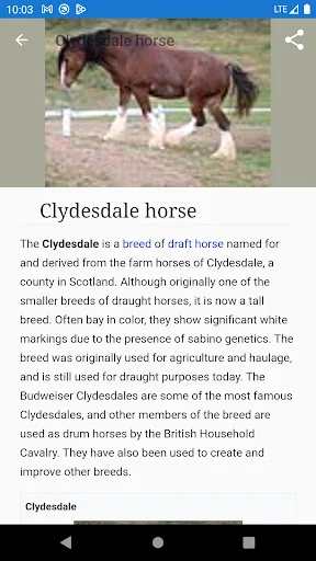 Download Horse breeds – Photos Terbaru – Panduan Kuda Lengkap - Screenshot 6