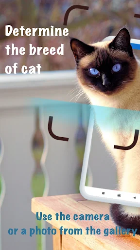 Download Cat Breeds – Smart Identifier Terbaru – Cek Ras Kucing - Screenshot 1
