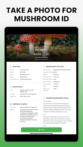 Download Mushroom Identifier Mushby Terbaru – Deteksi Jamur AI - Screenshot 9