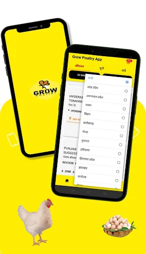 Unduh Broiler Rate Grow Poultry – Update Harga Ayam Harian - Screenshot 2