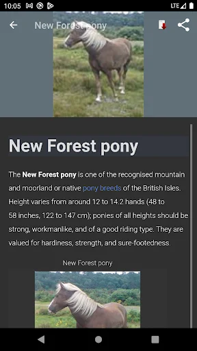 Download Horse breeds – Photos Terbaru – Panduan Kuda Lengkap - Screenshot 4