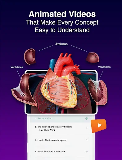 Download HomeRevise Terbaru – Aplikasi Belajar All-in-1 Terbaik - Screenshot 18