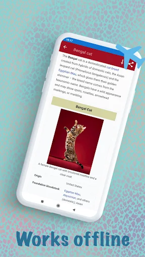 Download Cat Breeds – Smart Identifier Terbaru – Cek Ras Kucing - Screenshot 4