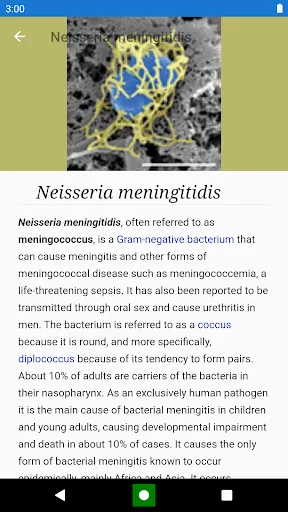 Download Bacteria: Types, Infections Terbaru – Belajar Mikrobiologi - Screenshot 6