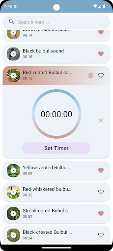 Download Suara Burung Kutilang Terbaru – Koleksi Kicau Gratis - Screenshot 6