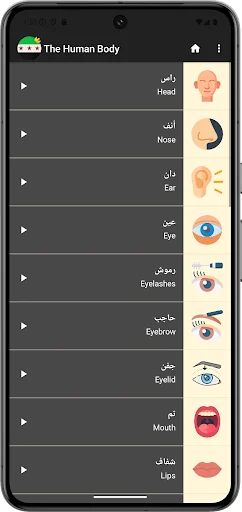 Belajar Bahasa Arab Suriah – Aplikasi Belajar Bahasa Arab Terbaik - Screenshot 6