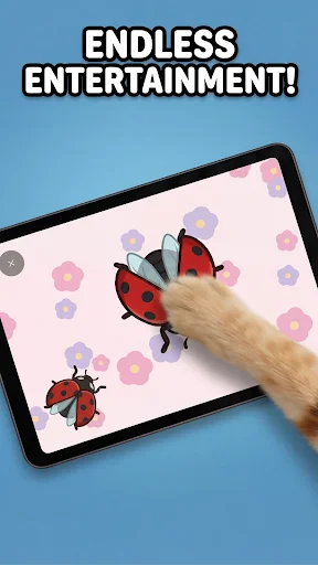 Unduh Games for Cats – Mainan Kucing Terbaru – Gratis Sekarang - Screenshot 4