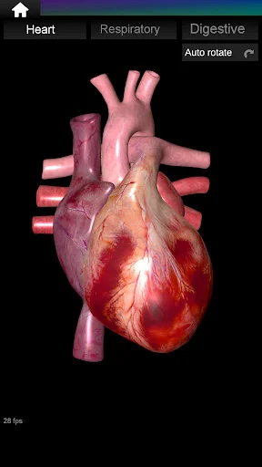 Download Internal Organs in 3D Anatomy Terbaru – Belajar Anatomi - Screenshot 16