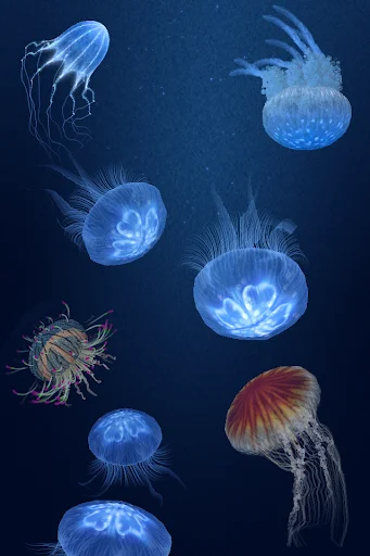 Download Jellyfish Heaven – Relax Time APK Terbaru Gratis - Screenshot 11