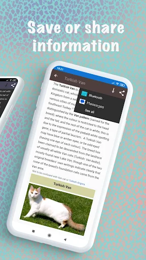 Download Cat Breeds – Smart Identifier Terbaru – Cek Ras Kucing - Screenshot 6