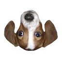 Unduh FrankerFaceZ Terbaru – Ekstensi Twitch Terbaik & Gratis