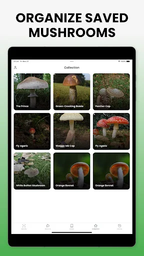 Download Mushroom Identifier Mushby Terbaru – Deteksi Jamur AI - Screenshot 13