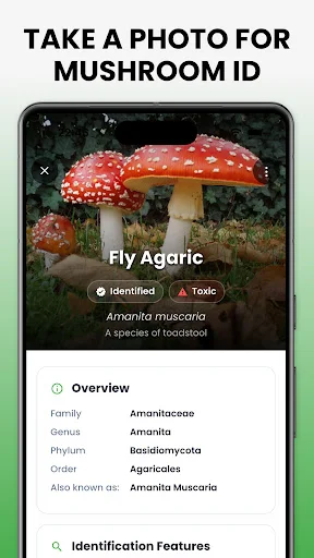 Download Mushroom Identifier Mushby Terbaru – Deteksi Jamur AI - Screenshot 3