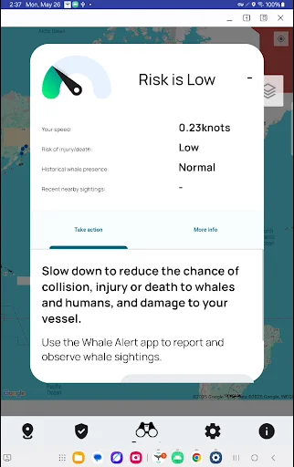 Download Whale Alert Terbaru – Pantau Paus & Cegah Tabrakan Kapal - Screenshot 10