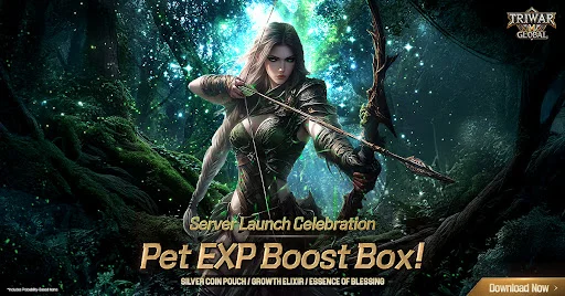 Download TriwarM Global Terbaru – MMORPG Hardcore Terbaik - Screenshot 11