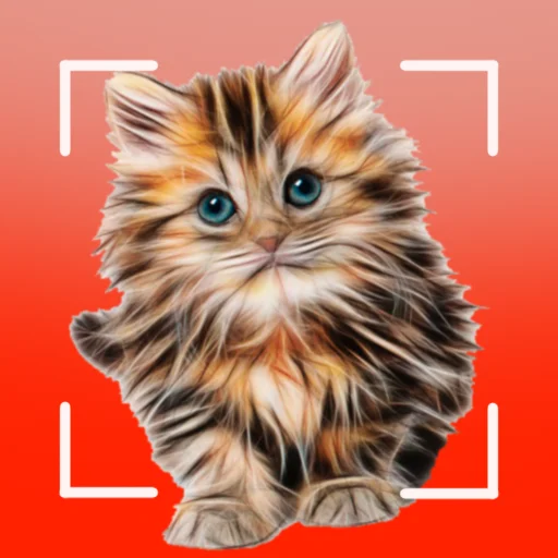 Download Cat Breeds – Smart Identifier Terbaru – Cek Ras Kucing