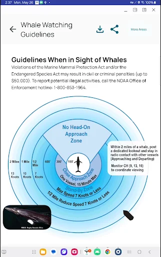 Download Whale Alert Terbaru – Pantau Paus & Cegah Tabrakan Kapal - Screenshot 11