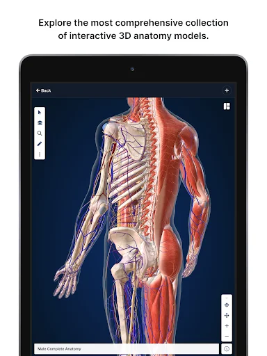 Download BioDigital Human 3D Anatomy Terbaru – Belajar Anatomi - Screenshot 7
